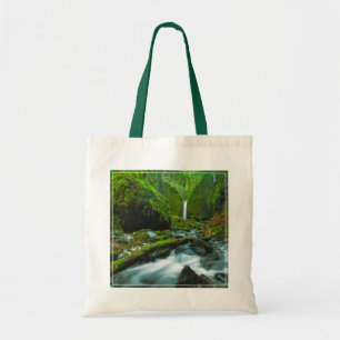 Vattenfall Grotto Falls, Oregon Tygkasse