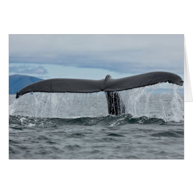 Vattenfall Hälsningskort (Framsidan Horizontal)