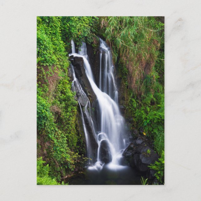 Vattenfall, Hamakua-kusten, Hawaii Vykort (Framsida)