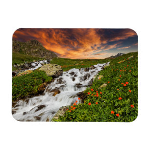 Vattenfall i bergen med blommor magnet