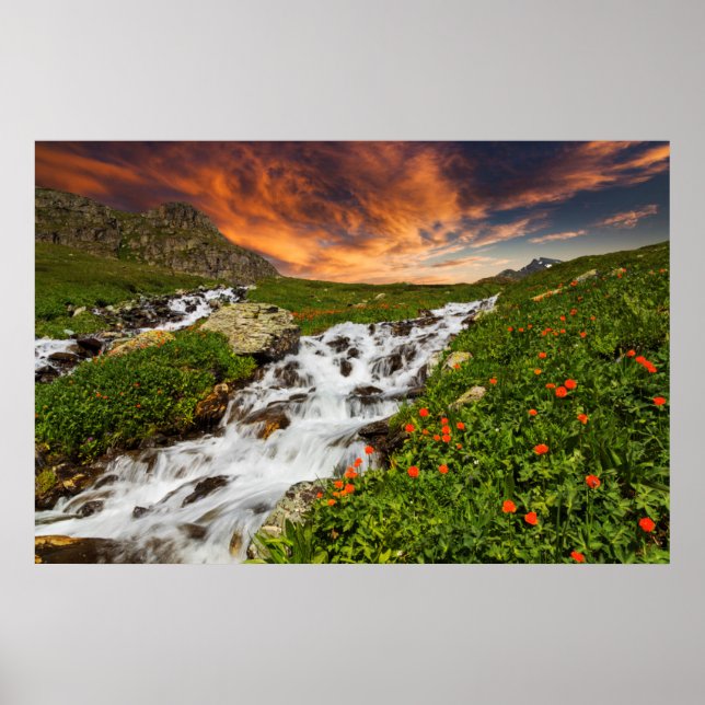 Vattenfall i bergen med blommor poster (Framsidan)