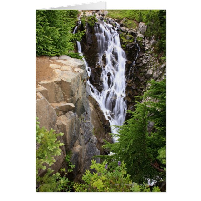 Vattenfall i berget Rainiers nationalpark Hälsningskort (Framsidan)