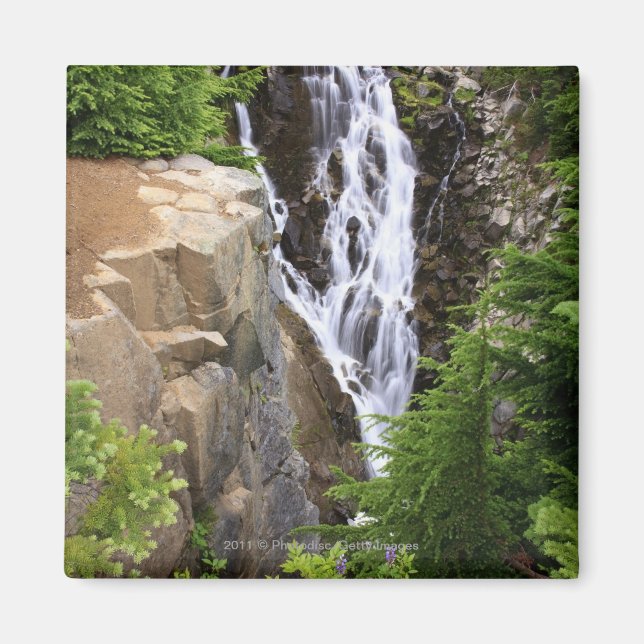 Vattenfall i berget Rainiers nationalpark Magnet (Framsidan)