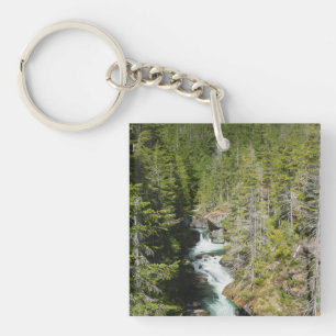 Vattenfall i den olympiska nationalskogen