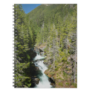Vattenfall i den olympiska nationalskogen anteckningsbok