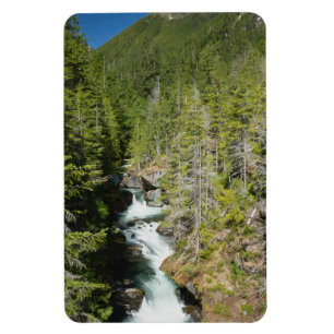 Vattenfall i den olympiska nationalskogen magnet