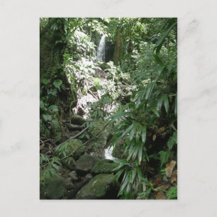 Vattenfall i Dominica Vykort