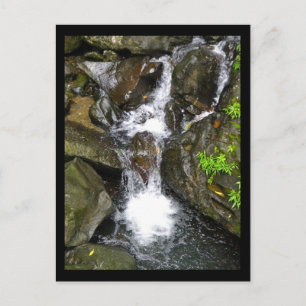 Vattenfall i El Yunque National Rainforest Vykort
