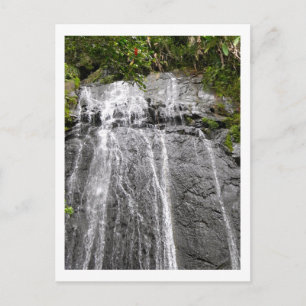Vattenfall i El Yunque National Rainforest Vykort
