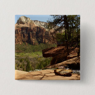 Vattenfall i Emerald Bassäng i Zion nationalpark Knapp