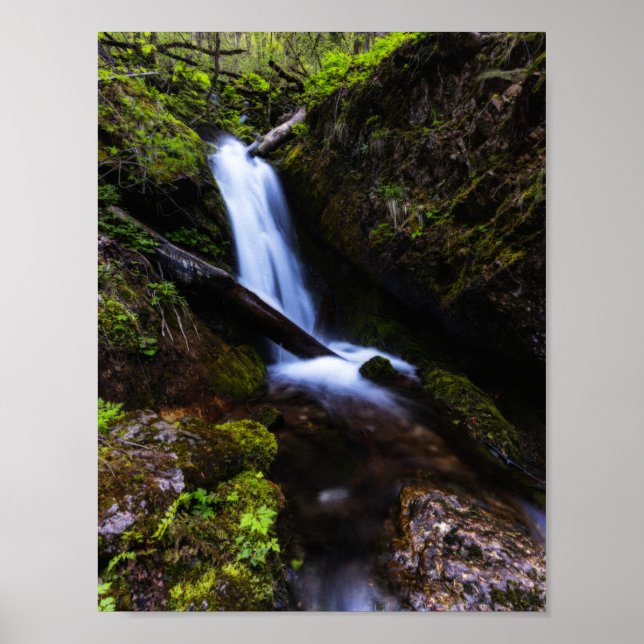 Vattenfall i en förtrollad skog poster (Framsidan)