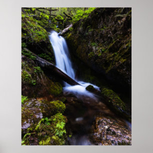 Vattenfall i förändrad skog poster