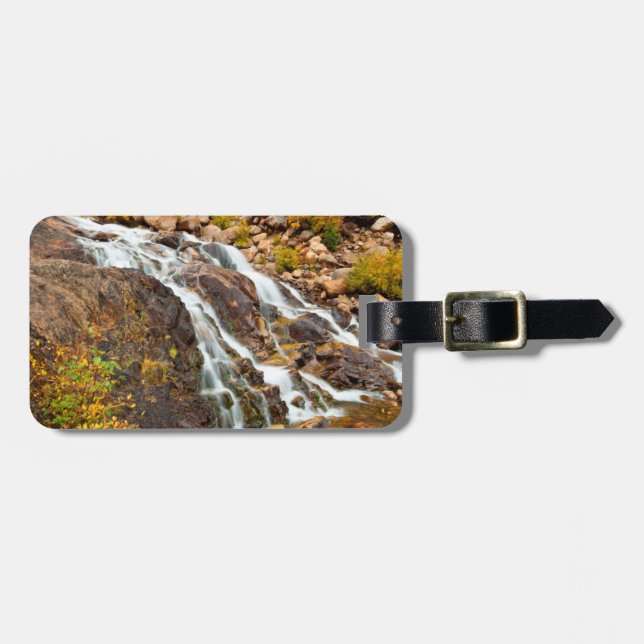 Vattenfall i Grand Teton National Park Bagagebricka (Horisontell Framsida)