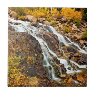 Vattenfall i Grand Teton National Park Kakelplatta