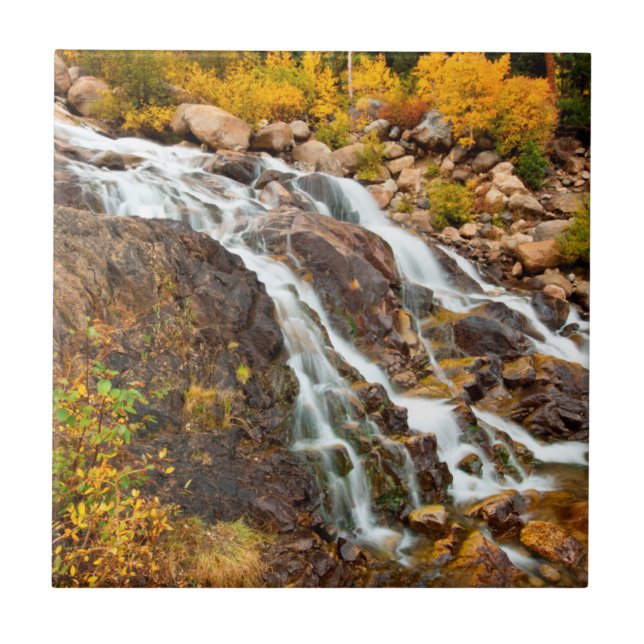 Vattenfall i Grand Tetons nationalpark Kakelplatta (Framsidan)