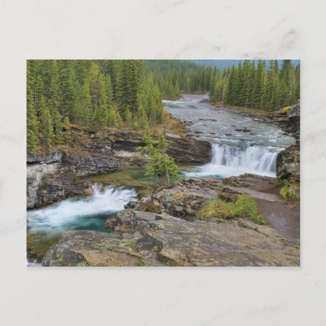 Vattenfall i Kanadas Rocky mountains Vykort (Framsida)