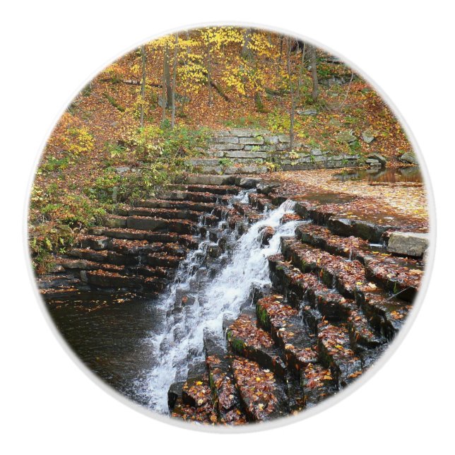 Vattenfall i Laurel Backe State Park II Knopp (Framsidan)