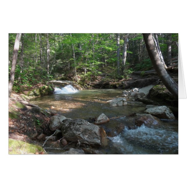 Vattenfall i Pemigewasset River I Hälsningskort (Framsidan Horizontal)