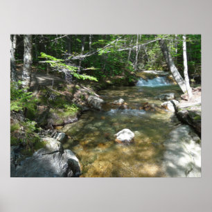 Vattenfall i Pemigewasset River III Poster
