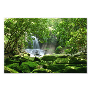 Vattenfall i regnskogen fototryck