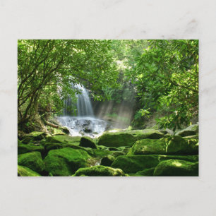 Vattenfall i regnskogen vykort