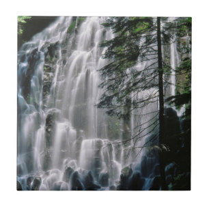 Vattenfall i skog, Oregon Kakelplatta