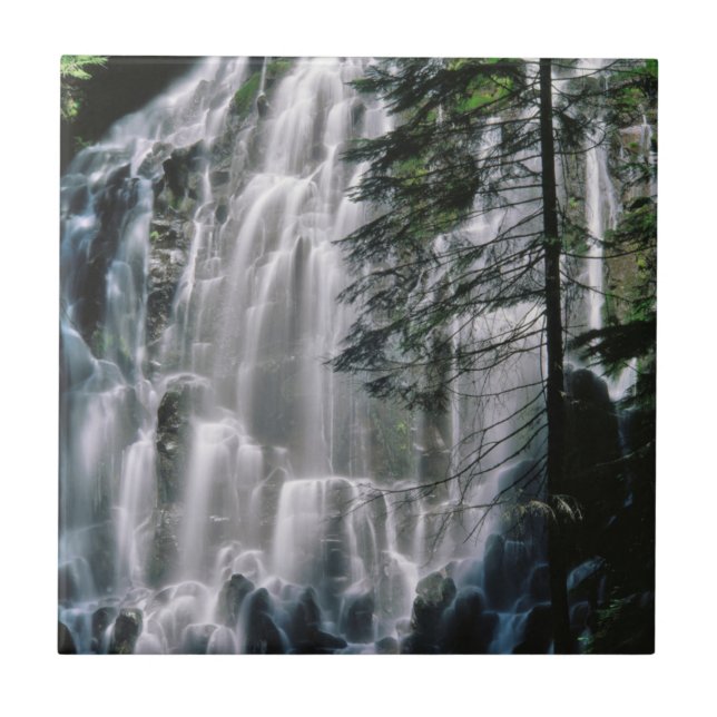 Vattenfall i skog, Oregon Kakelplatta (Framsidan)