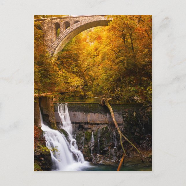 Vattenfall i Vintgar Gorge canyon på hösten Vykort (Framsida)