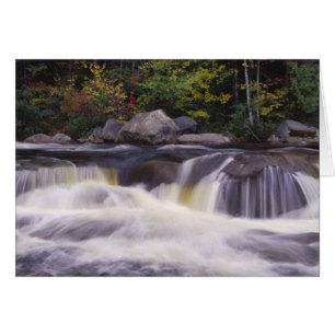 Vattenfall, Kancamagus Highway, Vit Hälsningskort