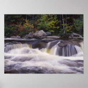 Vattenfall, Kancamagus Highway, Vit Poster