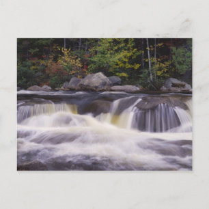 Vattenfall, Kancamagus Highway, Vit Vykort