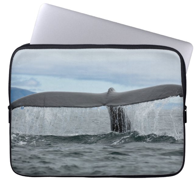 Vattenfall Laptop Sleeve (Framsidan)