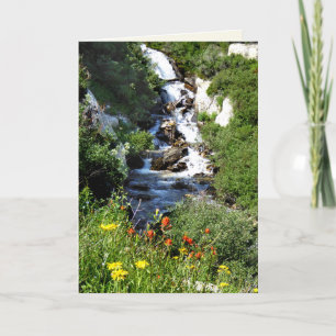 Vattenfall med Wildblommor, NV Blank Greeting Card Kort