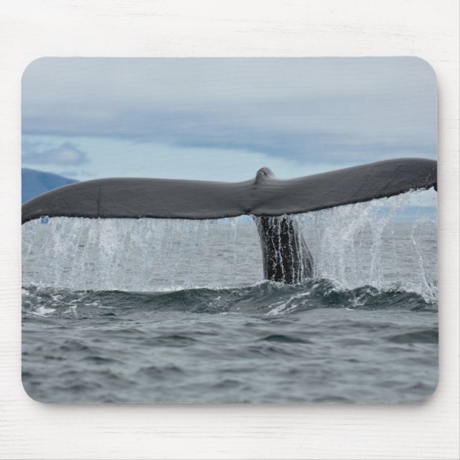 Vattenfall Musmatta (Framsidan)