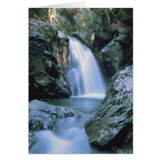 Vattenfall nr 100 hälsningskort