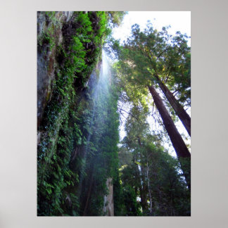 Vattenfall och Cliff Poster