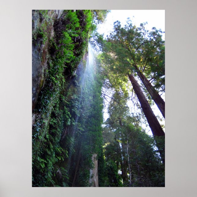 Vattenfall och Cliff Poster (Framsidan)