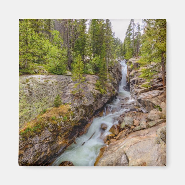 Vattenfall och floden Cascade Magnet (Framsidan)