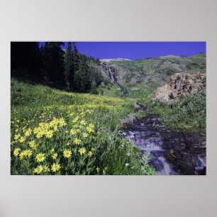 Vattenfall och vilda blommor i alpängar. poster