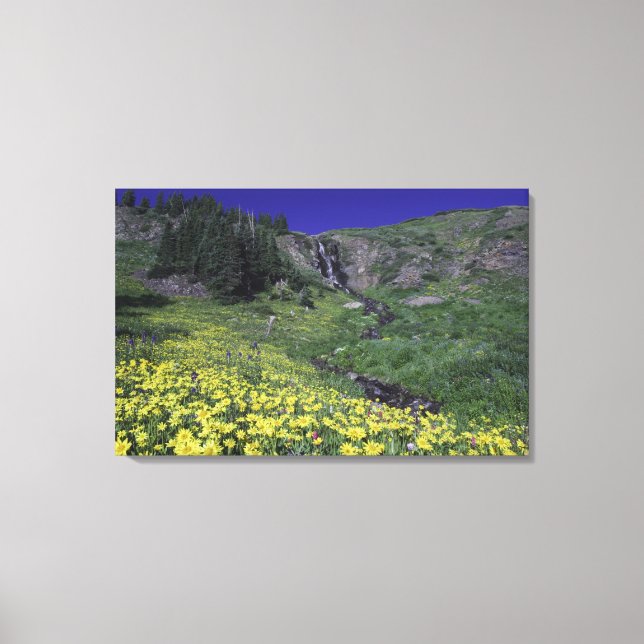 Vattenfall och vilda blommor i alpin äng, 2 canvastryck (Framsida)