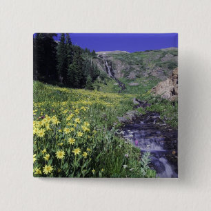 Vattenfall och vilda blommor i alpin äng, 2 knapp
