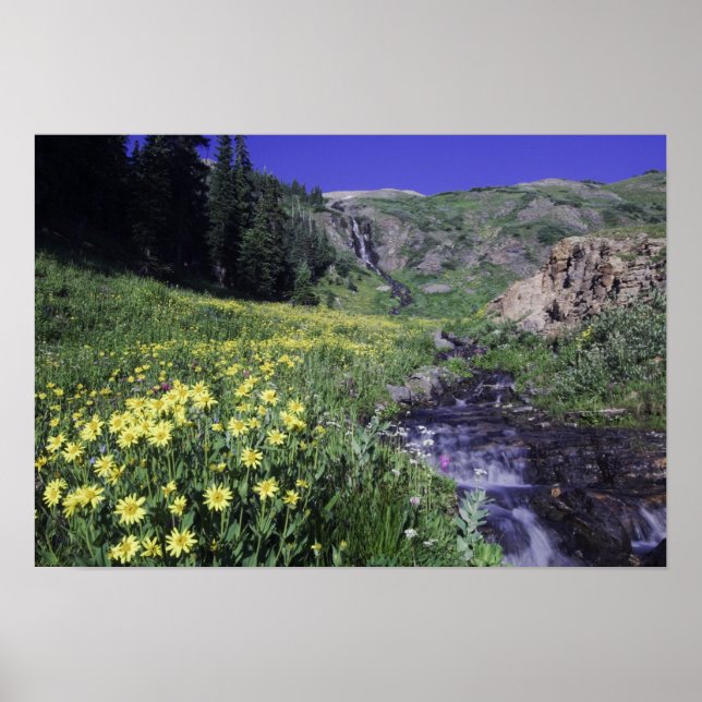 Vattenfall och vilda blommor i alpin äng, 2 poster (Framsidan)