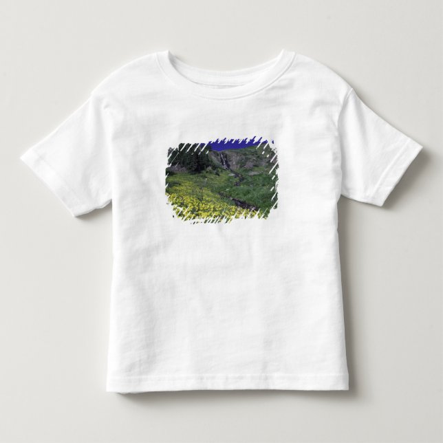 Vattenfall och vilda blommor i alpin äng, 3 tröja (Framsida)