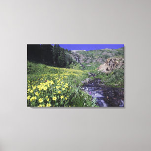 Vattenfall och vilda blommor i alpin äng, canvastryck