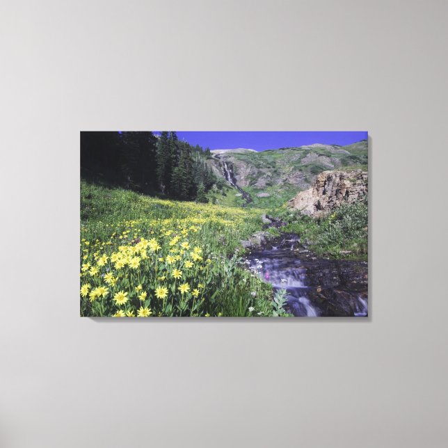 Vattenfall och vilda blommor i alpin äng, canvastryck (Framsida)