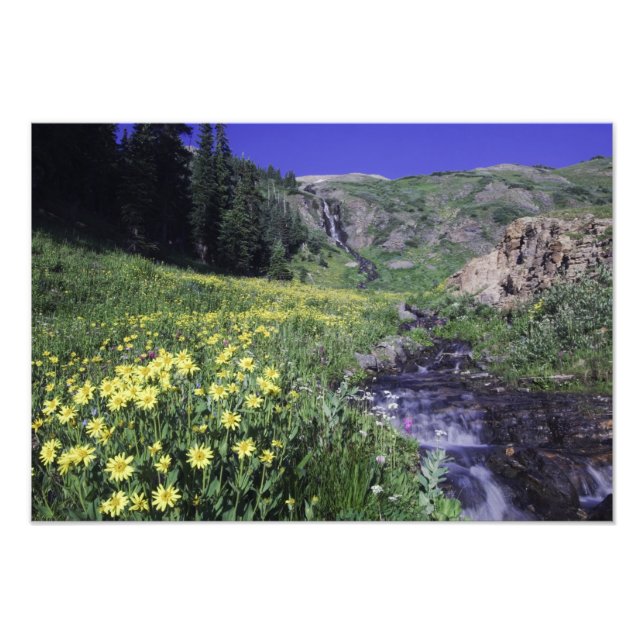 Vattenfall och vilda blommor i alpin äng, fototryck (Framsidan)