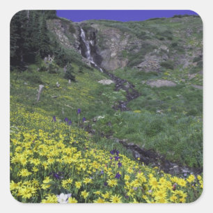 Vattenfall och vilda blommor i alpin äng, fyrkantigt klistermärke