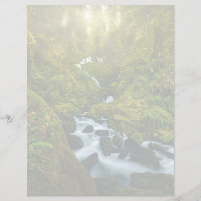 Vattenfall | Olympic National Park, Washington (Framsida)