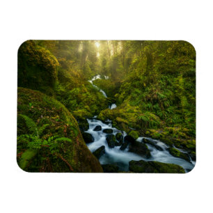 Vattenfall   Olympic National Park, Washington Magnet