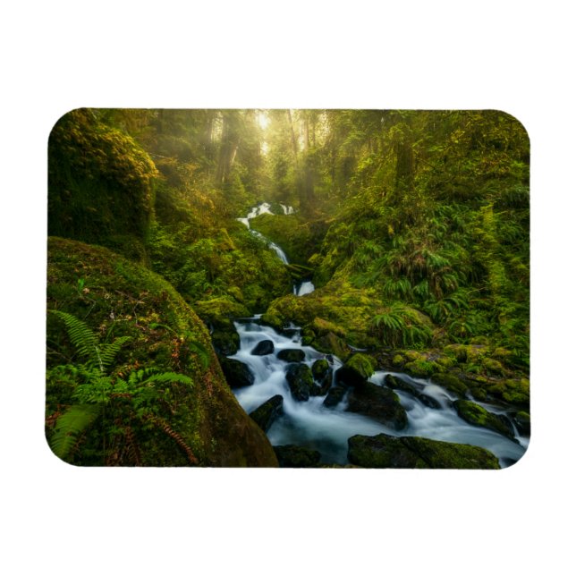 Vattenfall | Olympic National Park, Washington Magnet (Horisontell)